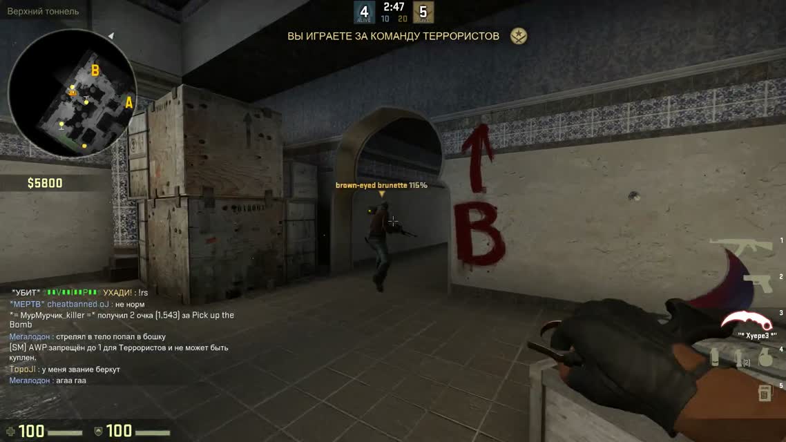 Цена жизни мальчика в CSGO