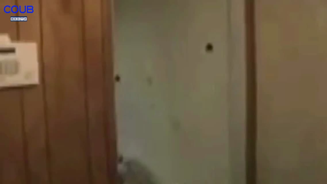 Coub Вести Команда
