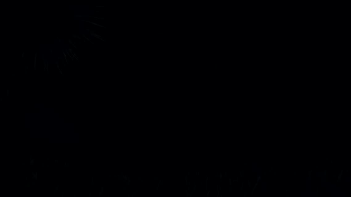 Solus Project — трейлер к выходу на PC