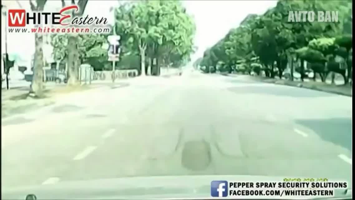 Мгновенная Карма Подборка 2016 Instant Karma Compilation 2016