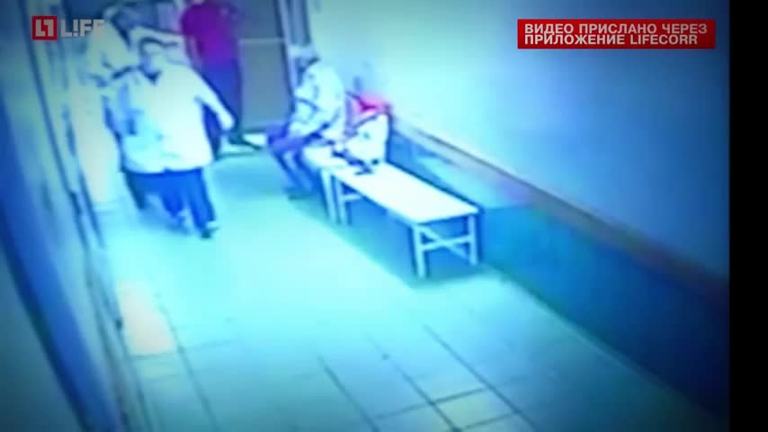 В МИРЕ ЖИВОТНЫХ (18+)