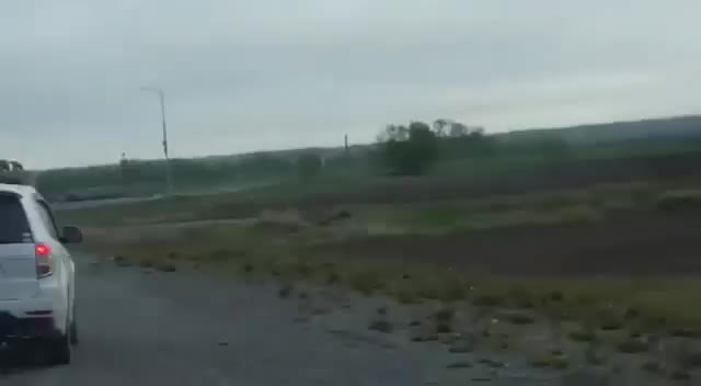 На Камчатке медведь пришел туда, где начинается Россия