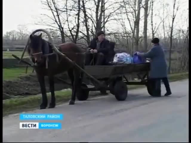 Встали с колен