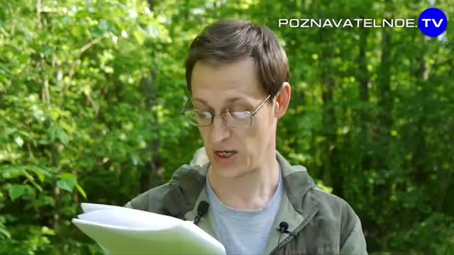 Бешеныи мерседес Золотои молодежи (Познавательное ТВ, Артём Войтенков)