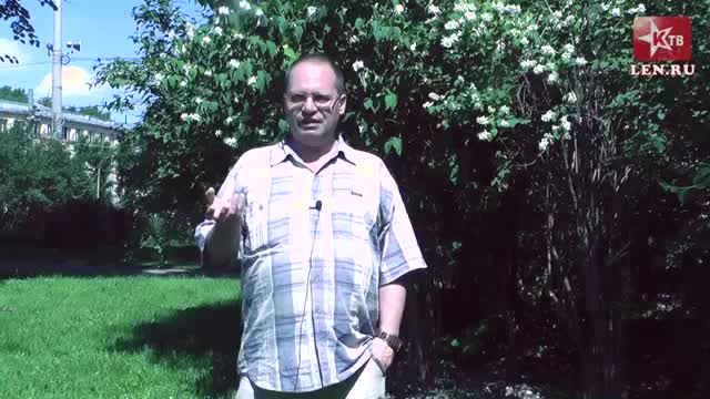 Новости политического цирка. Соловейчик, вып. 2.07.2016