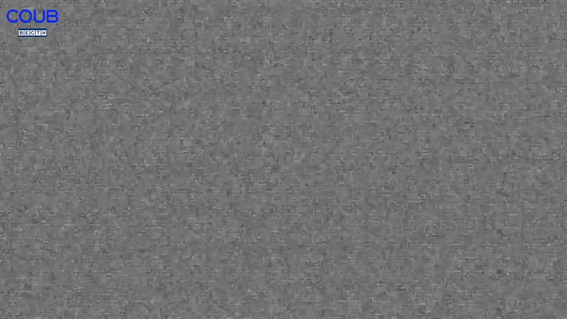Coub Вести - Лучшее в Coub 2016 - Песочница