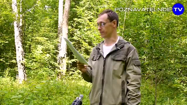 Зачем сделали ФСБ-заезд на «Гелендвагенах»