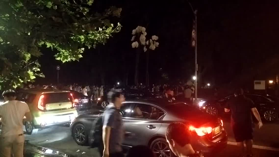 (Мир сошел с ума) Pokemon Go - Vaporeon stampede Central Park  NYC