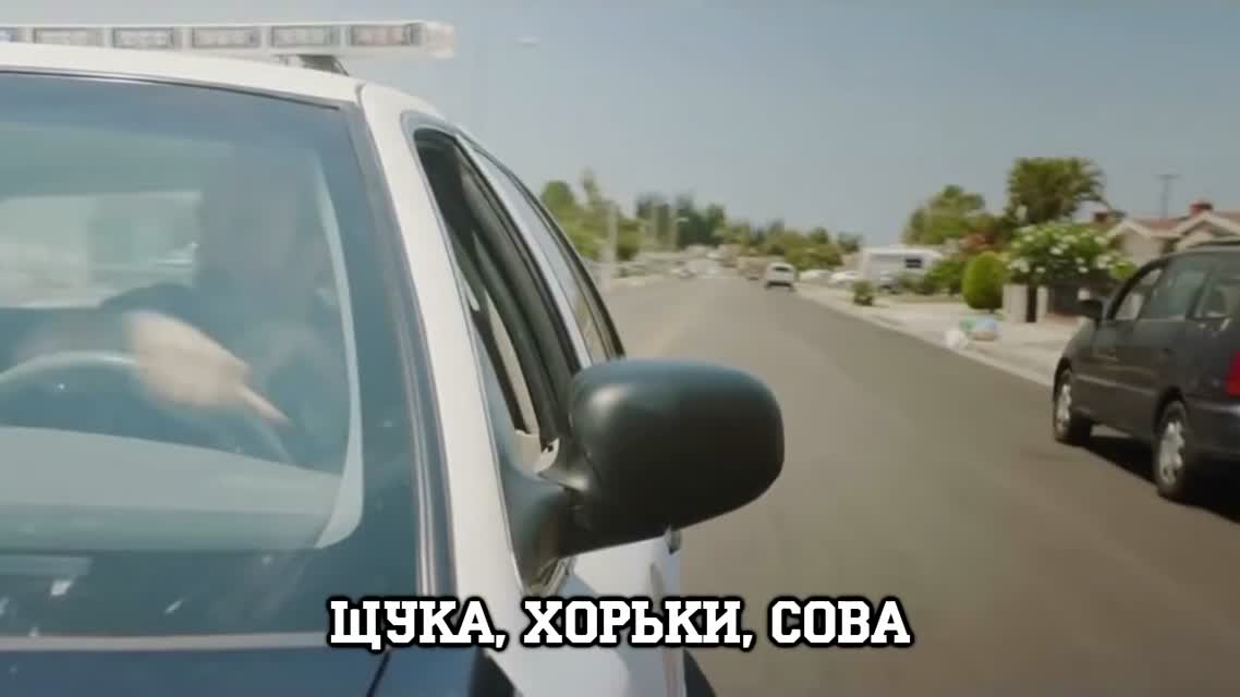 ЗУБЫ НА КОВЁР (ПОСЛЫШАЛОСЬ)