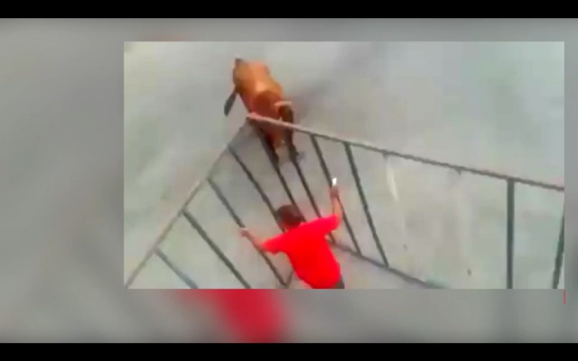 Самый умный