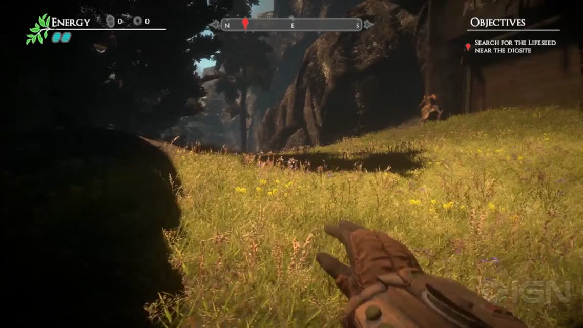 The First 20 Minutes of Valley
