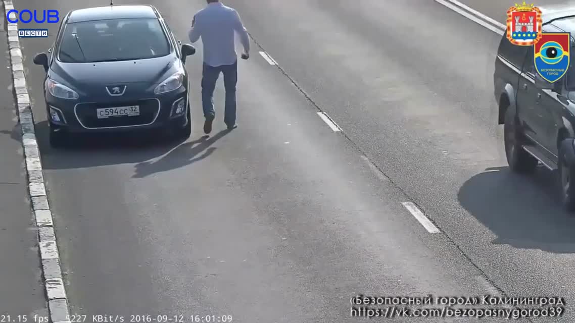 Coub Вести After Party