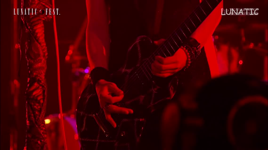 LUNATIC FEST - DIR EN GREY
