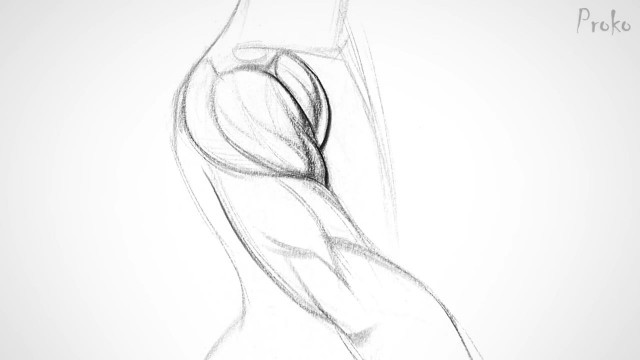 Proko - Deltoids anatomy