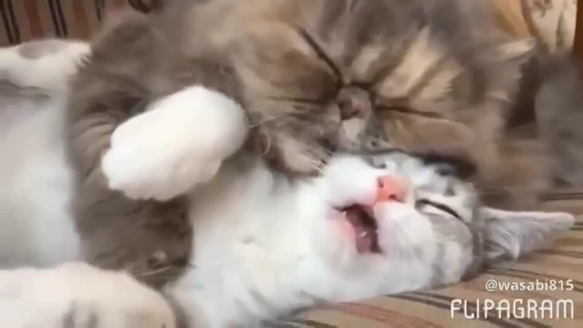 GOOD MOOD #12
