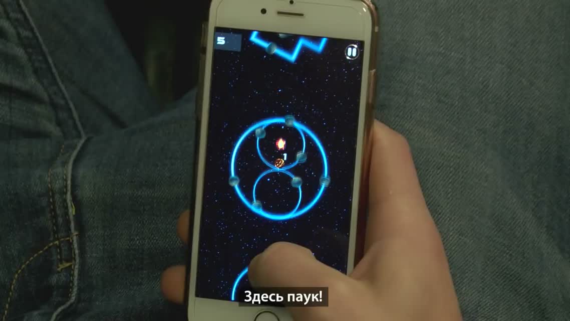 Что будет, если убить беременного паука