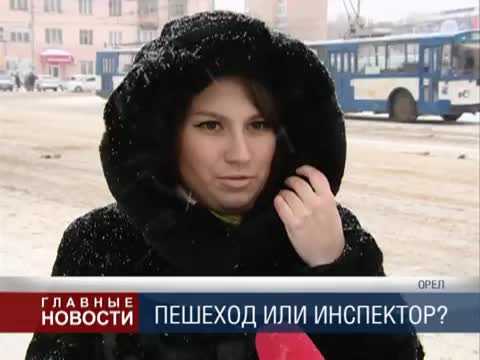 В Орле возбудили дело против девушки, которая перешла дорогу на зеленый