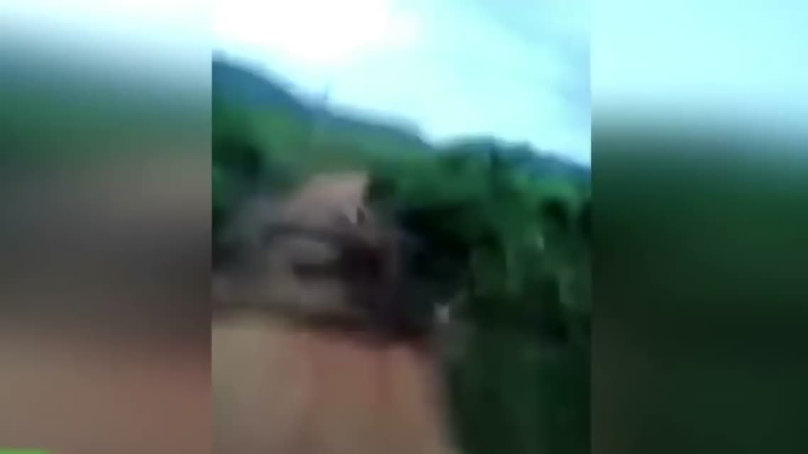ГРУЗОВИКИ ТЕРПЯТ КРУШЕНИЕ