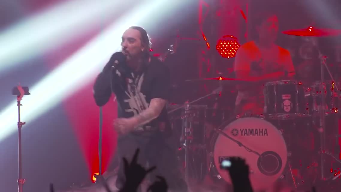 Король и Шут-Лесник (live)
