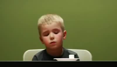 Зефирный тест