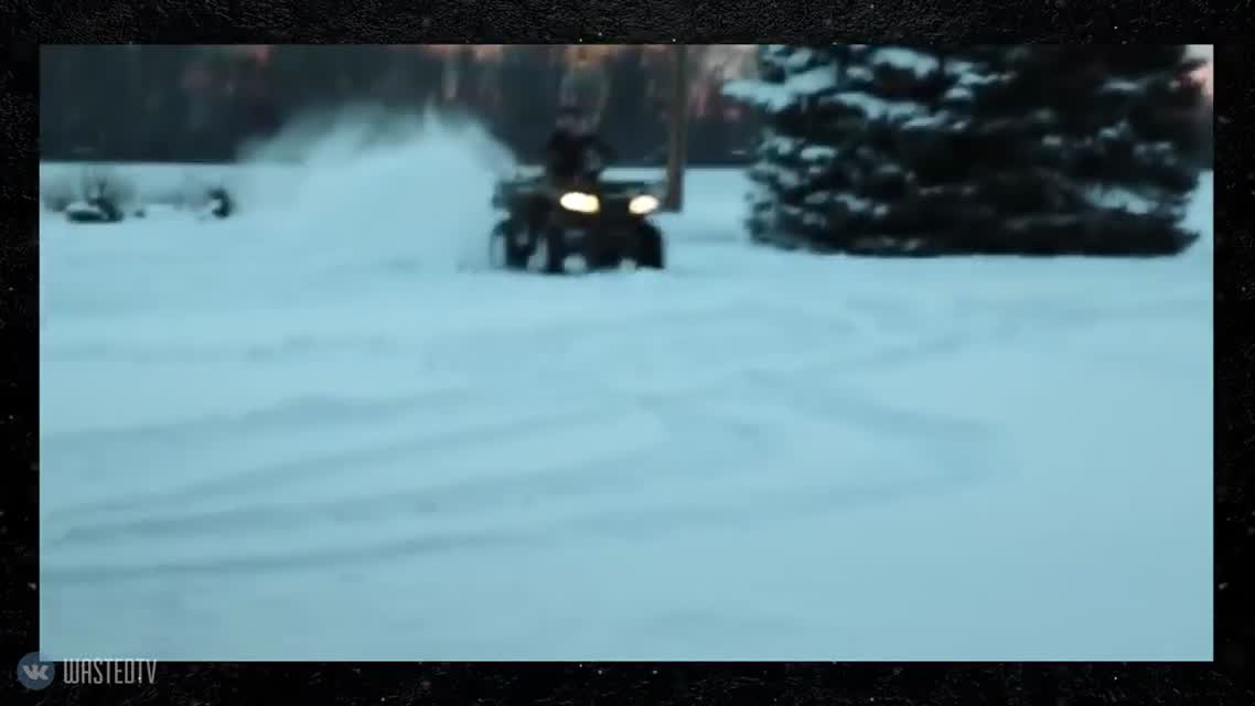 Тюлень вертолень  ПОТРАЧЕНО