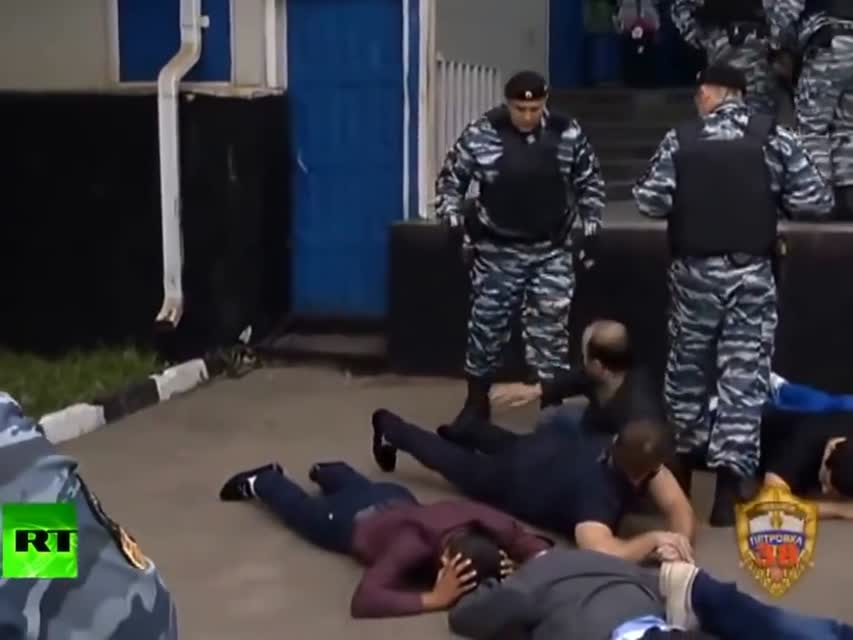 Господин Путин, пришлите вашу полицию в Европу!