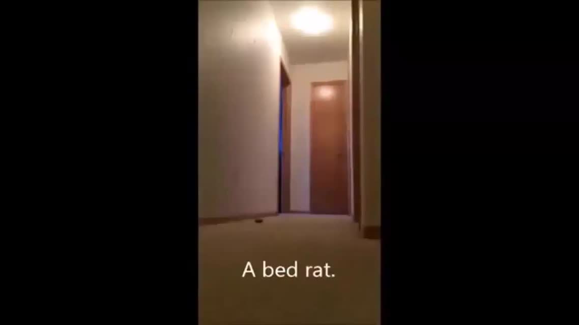 GOOD MOOD #52