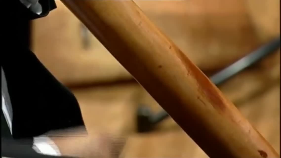 Didgeridoo Meets Orchestra
