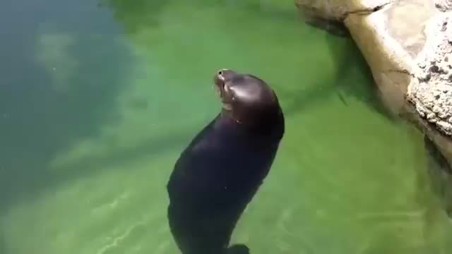 не расстраивайтес