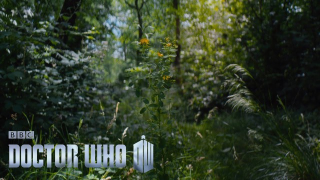 Тринадцатый Доктор показан - Doctor Who - BBC One
