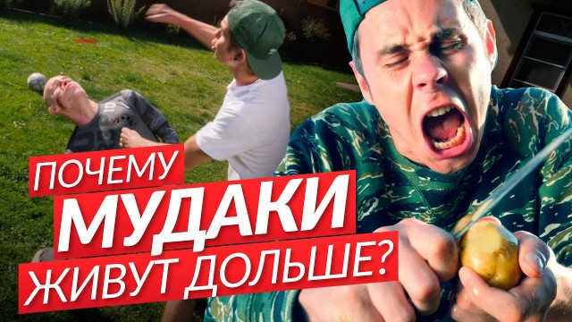 ПОЧЕМУ МУДАКИ ЖИВУТ ДОЛЬШЕ — ТОПЛЕС