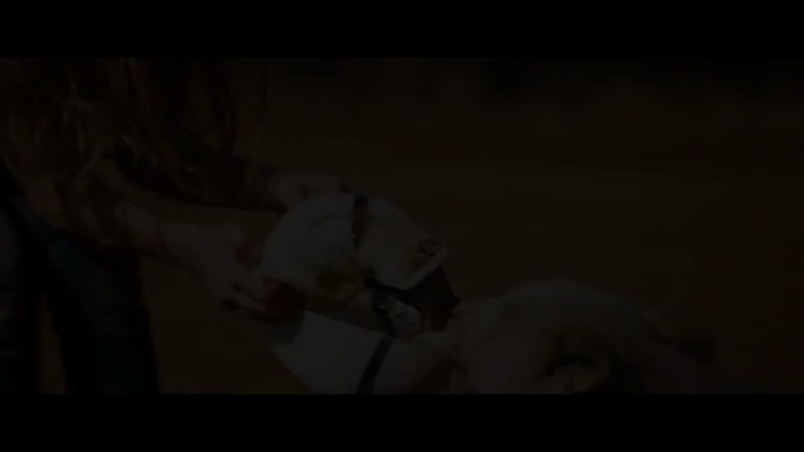Миа и белый лев / Mia Et Le Lion Blanc / Mia And The White Lion (2018)