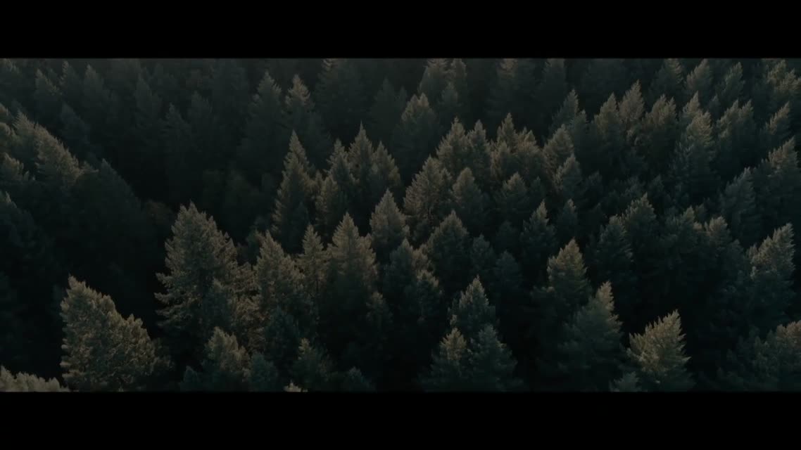 Свинья / Pig (2021)