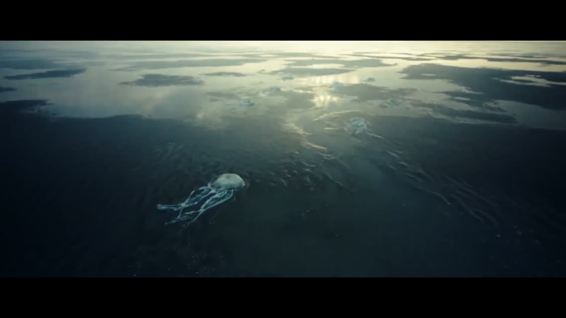 Приливы (Чужая Земля) / Tides (The Colony) (2021)