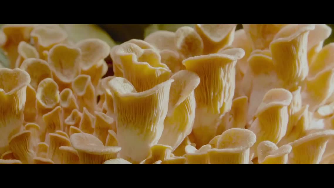 Меню / The Menu (2022)
