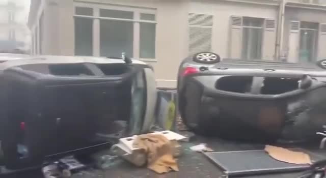 Доброе утро в цветущем саду Жозепа Борреля нынче выглядит так
