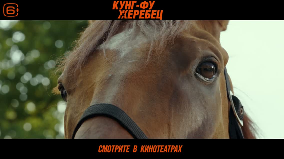 Кунг-фу жеребец / Long Ma Jing Shen (2023)