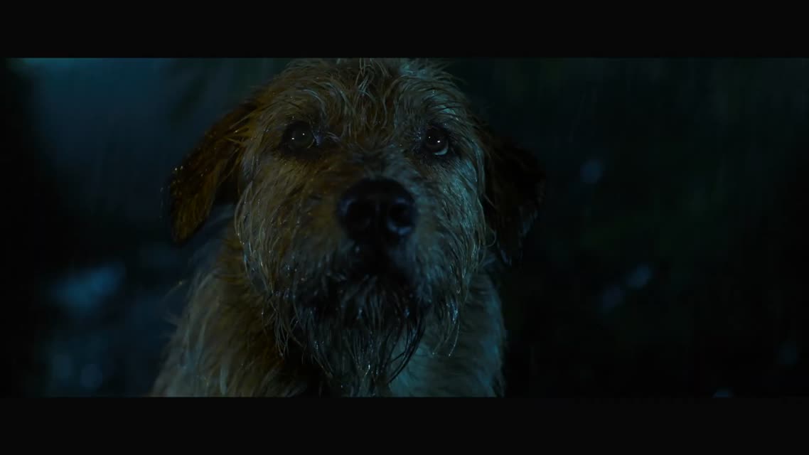 Артур, ты король / Arthur The King (2024)